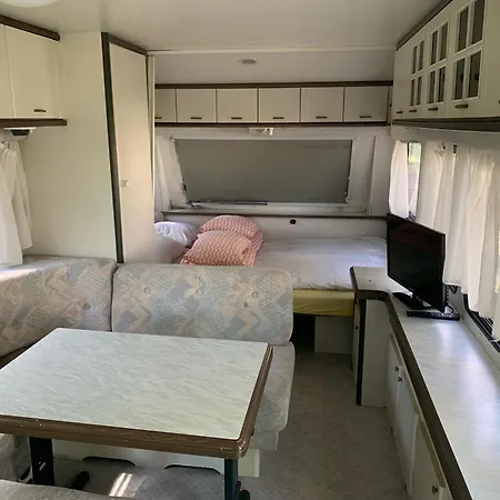 34 Przy Plazy 山林小屋 *