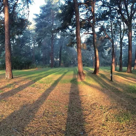 34 Przy Plazy Lodge *