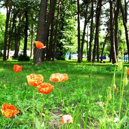 山林小屋 34 Przy Plazy
