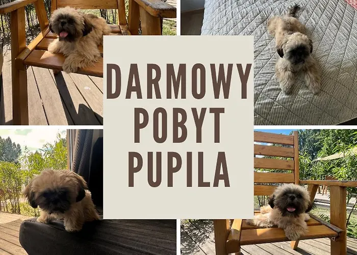 Lodge 34 Przy Plazy *