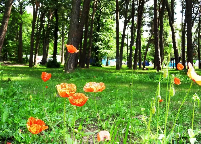 Gerendaház 34 Przy Plazy